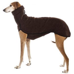 abrigo para perros pitbull