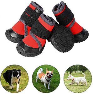 botas para beagle