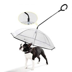 correa con paraguas para perros