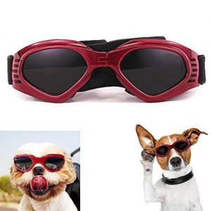 gafas de sol para perros pastor aleman