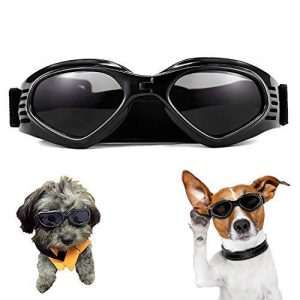 gafas para perros ciegos