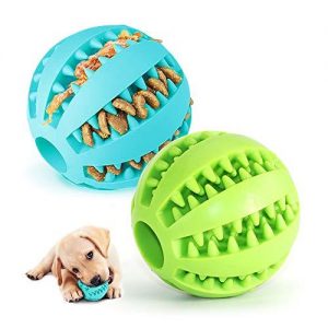 juguetes para un perro labrador