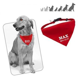 pañuelo para perros personalizados