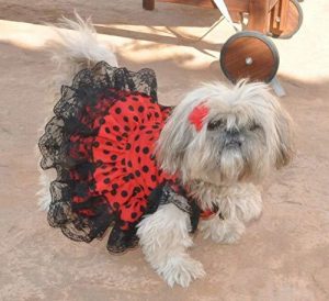 vestido de perros flamenca
