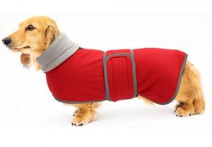 abrigo para perros salchichas