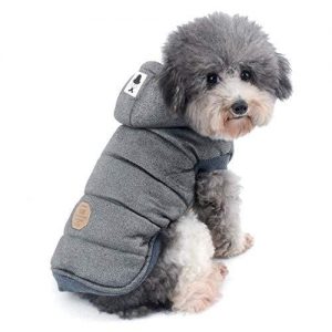 chaqueta impermeable para perros