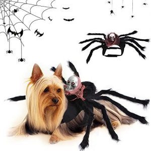 disfraz para perro de araña