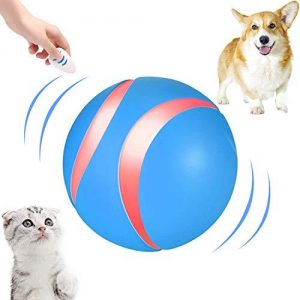 pelota a control remoto para perros