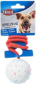 pelota con cuerdas para perros
