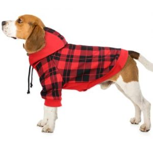ropa para perro con capucha