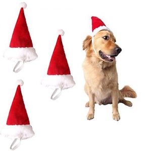 sombrero de navidad para perros