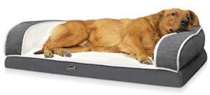 cama para perros pitbull