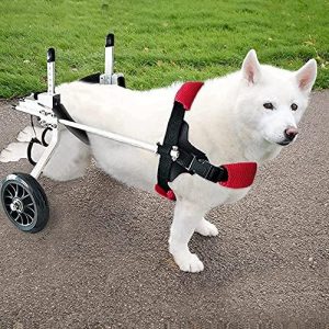 silla de ruedas para perros grandes